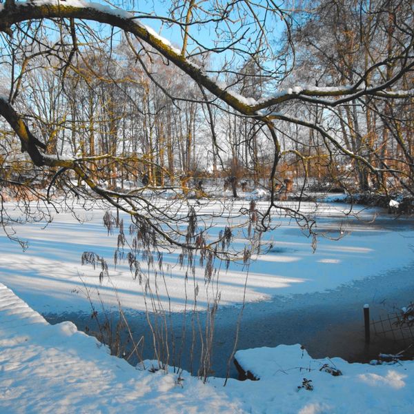 Runselstraat 10, Berghem