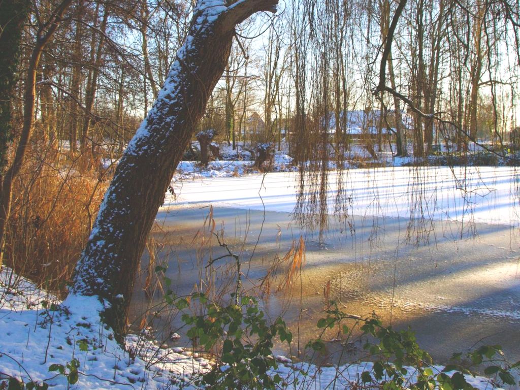 Runselstraat 10, Berghem