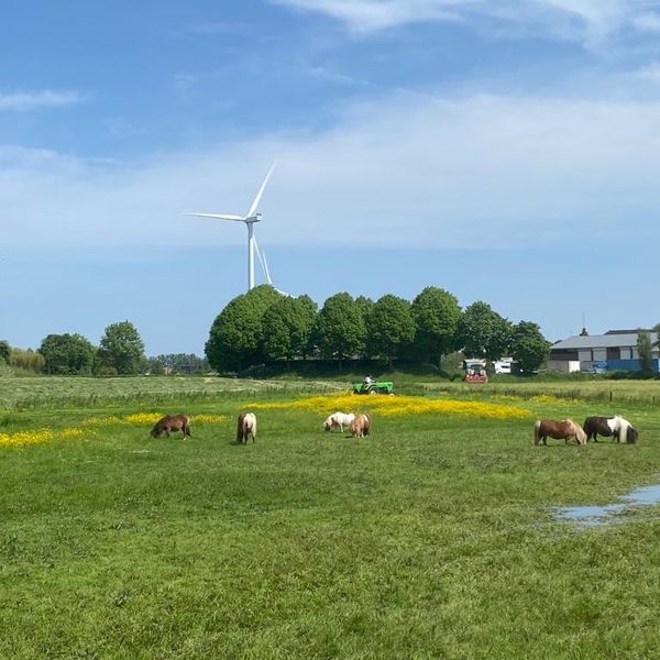 De Woerd 4, 'S-Hertogenbosch