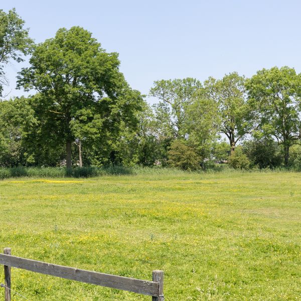 De Woerd 4, 'S-Hertogenbosch