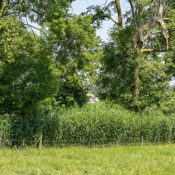 De Woerd 4, 'S-Hertogenbosch