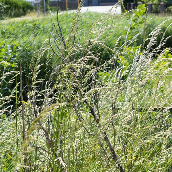 De Woerd 4, 'S-Hertogenbosch