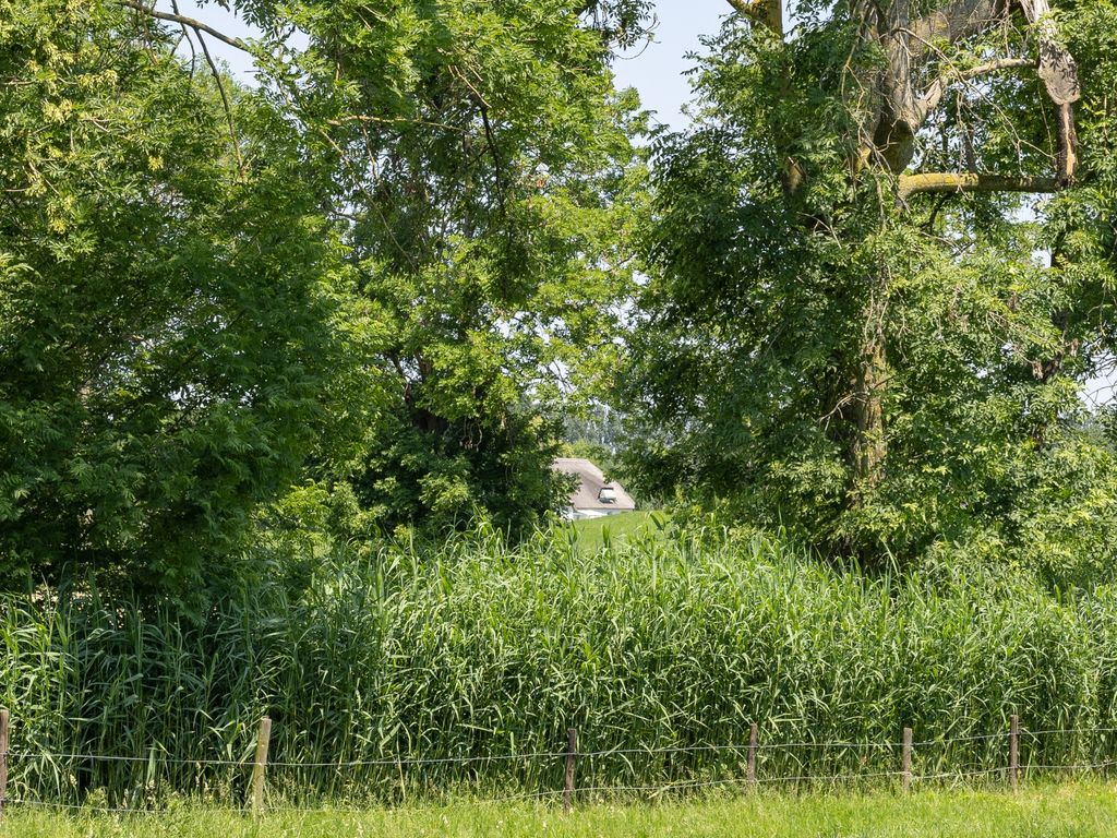 de Woerd ONG, 's-Hertogenbosch