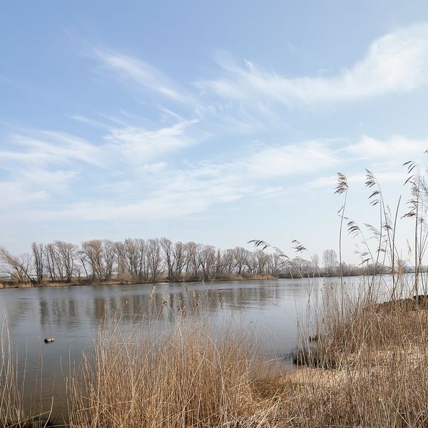 Bokhovense Maasdijk 4, 's-Hertogenbosch