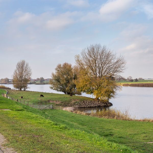 Bokhovense Maasdijk 4, 's-Hertogenbosch