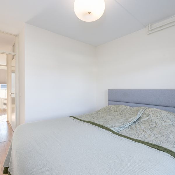 Karekiet 7, 'S-Hertogenbosch