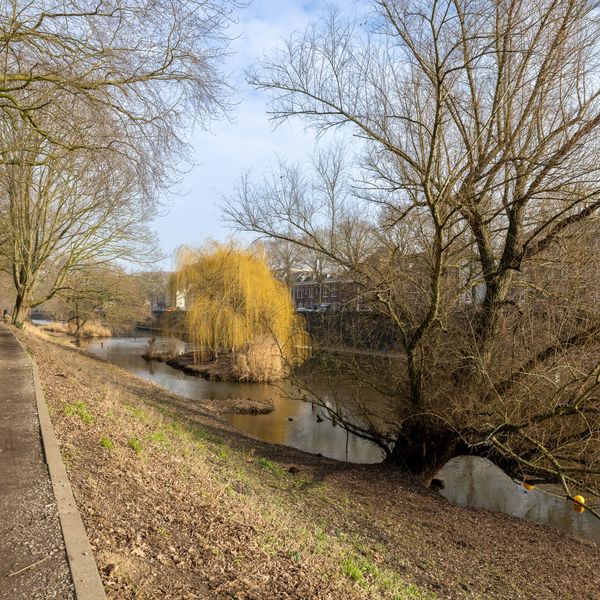 Koningsweg 31E, 's-Hertogenbosch