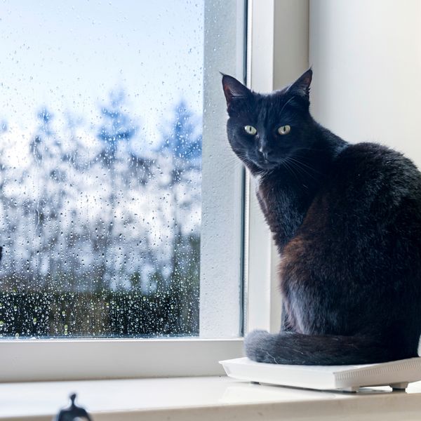 Runselstraat 10, Berghem