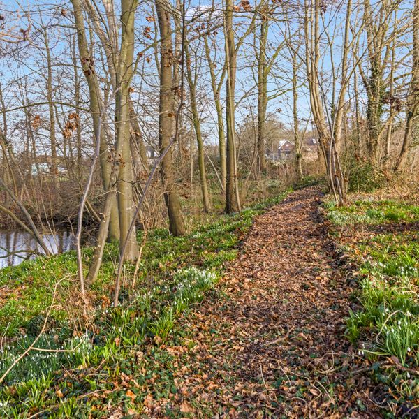 Runselstraat 10, Berghem