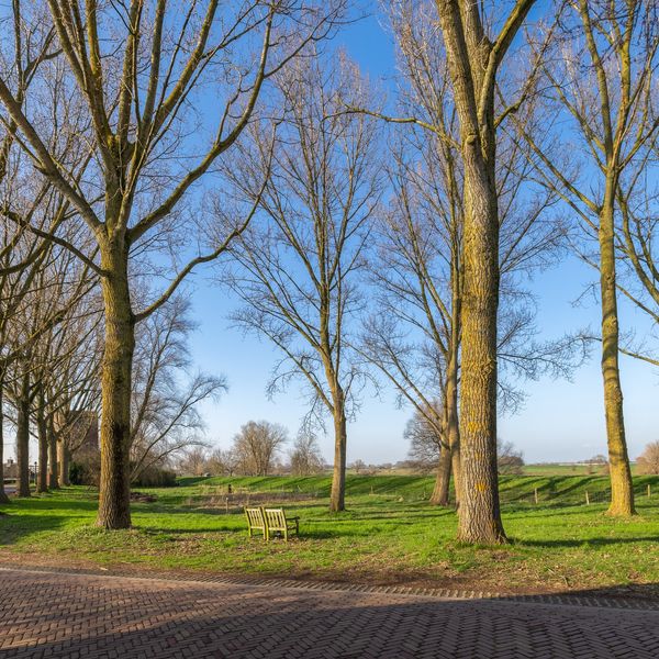 Bokhovense Maasdijk 4, 's-Hertogenbosch