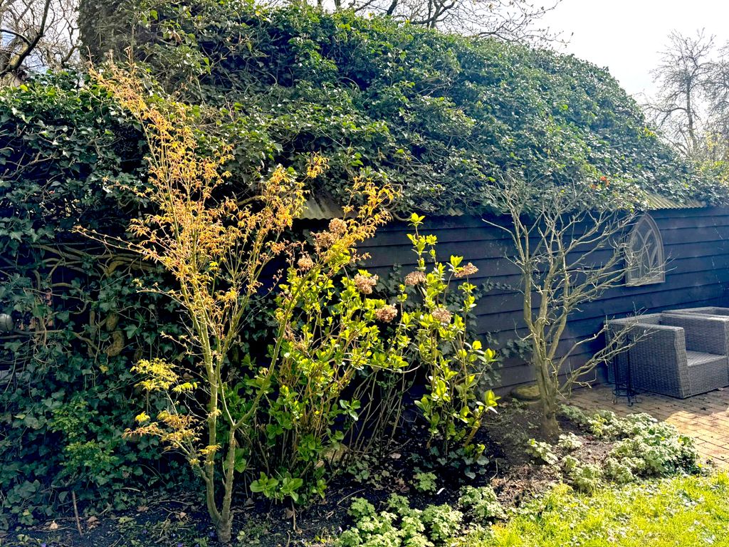 Bokhovense Maasdijk 4, 's-Hertogenbosch