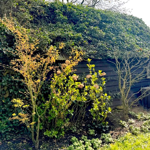 Bokhovense Maasdijk 4, 's-Hertogenbosch