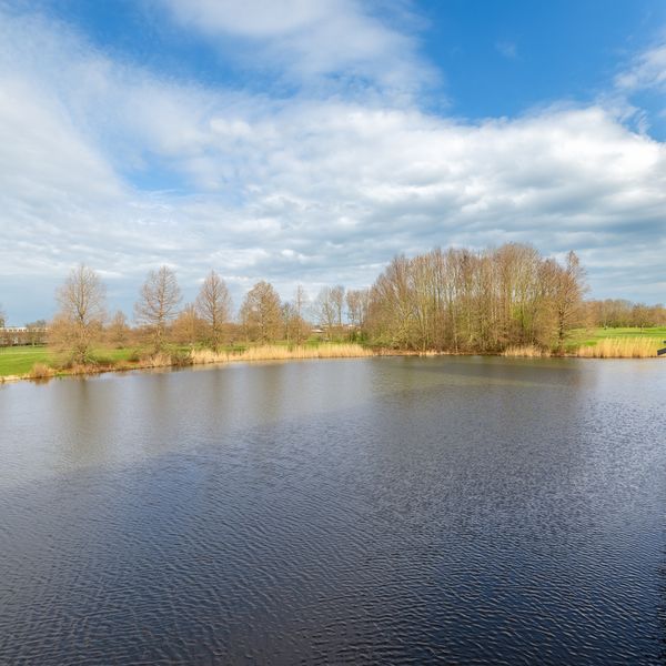 Zwaenenstede 39, 's-Hertogenbosch