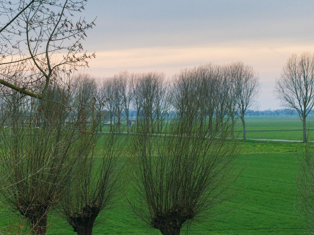 Beeckendael 26, 's-Hertogenbosch