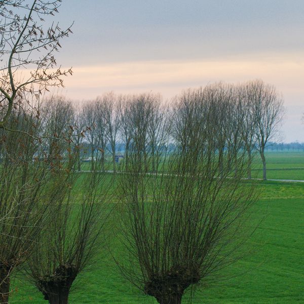 Beeckendael 26, 's-Hertogenbosch