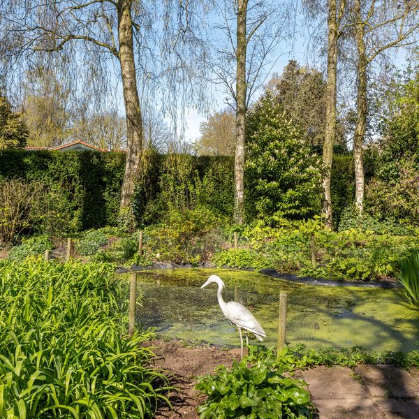 Rondeweg 2, 'S-Hertogenbosch