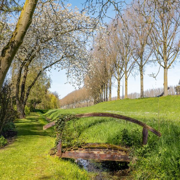 Rondeweg 2, 'S-Hertogenbosch
