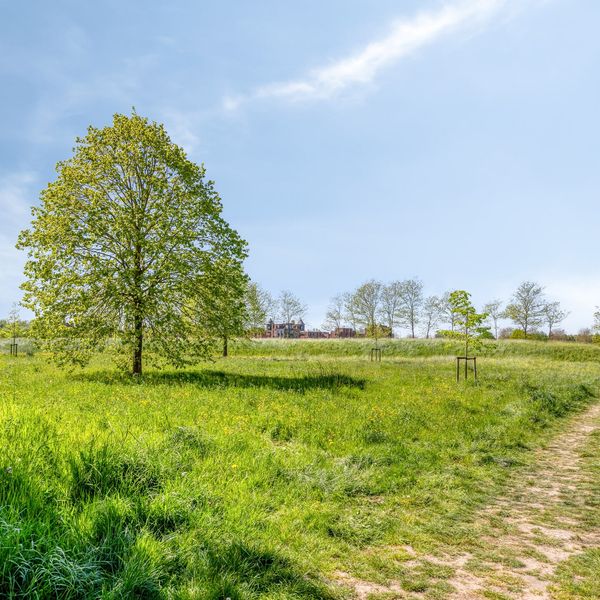 Parcivalring 519, 's-Hertogenbosch