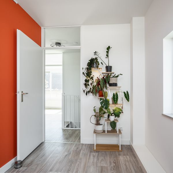Karekiet 9, 's-Hertogenbosch