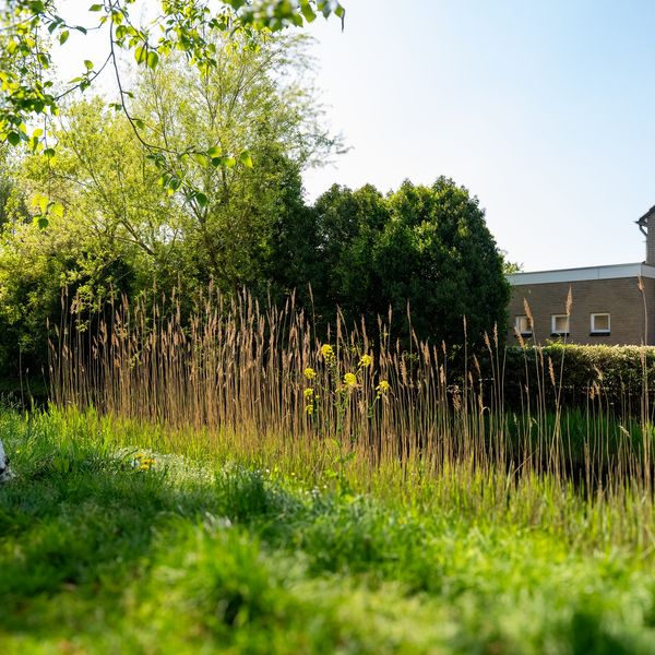 Karekiet 9, 's-Hertogenbosch