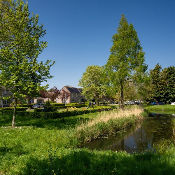 Karekiet 9, 's-Hertogenbosch