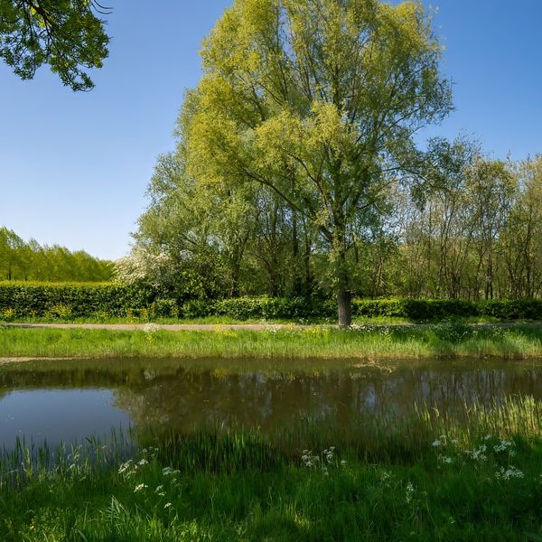 Karekiet 9, 's-Hertogenbosch