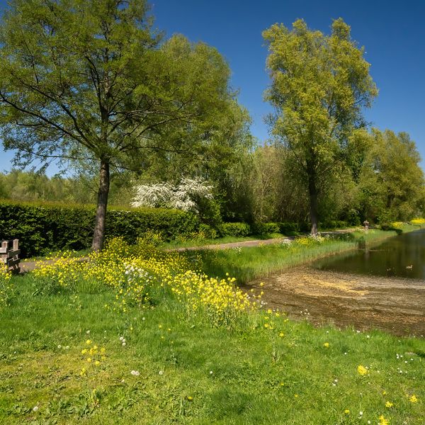 Karekiet 9, 's-Hertogenbosch
