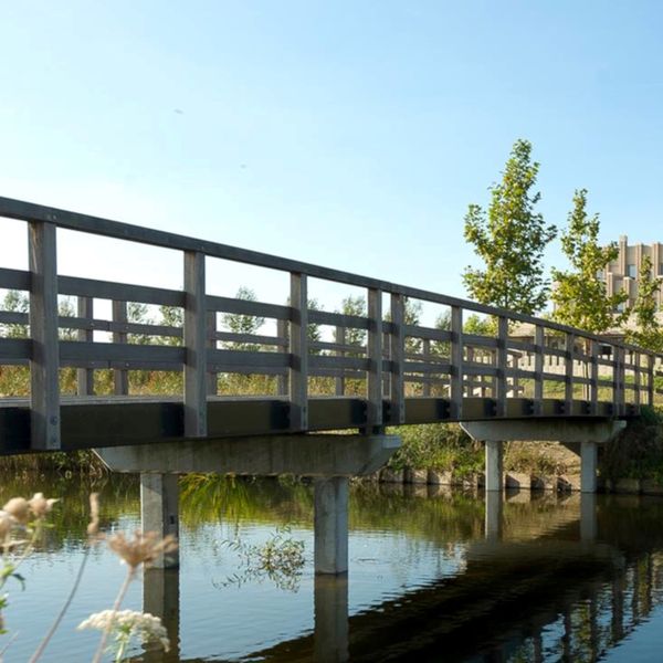 Beeckendael 40, 's-Hertogenbosch