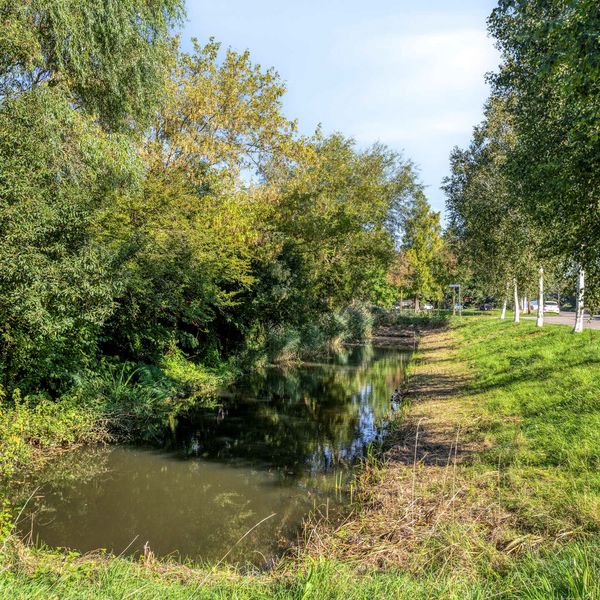 Karekiet 11, 's-Hertogenbosch