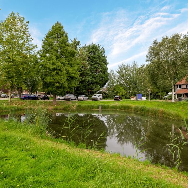 Kokmeeuw 21, 's-Hertogenbosch