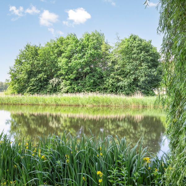 Roerdomp 37, 's-Hertogenbosch
