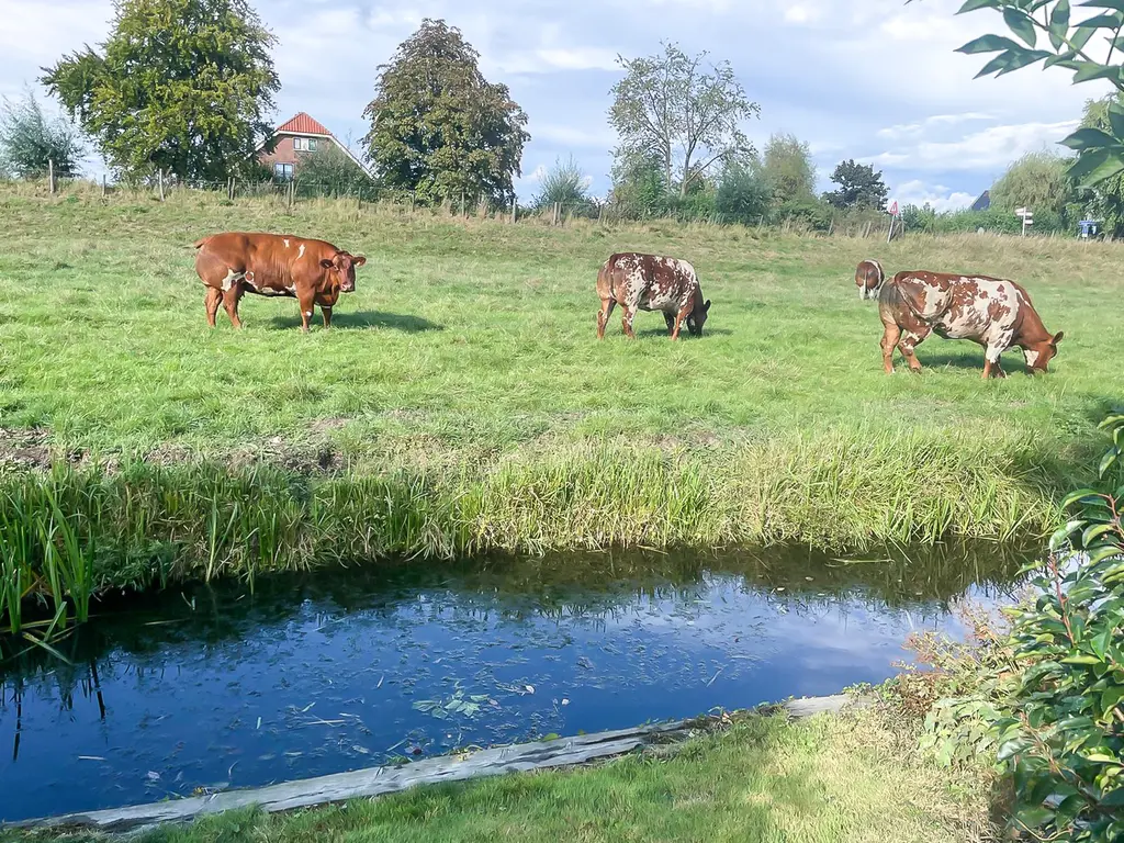 Gerberastraat 16, NOORDEN