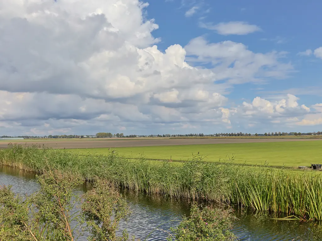 Wederik 5, ZEVENHOVEN