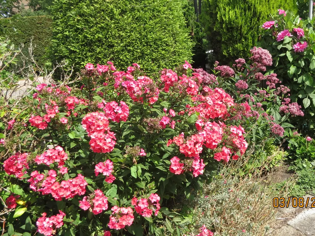 Barnsteenstraat 31, ALPHEN AAN DEN RIJN