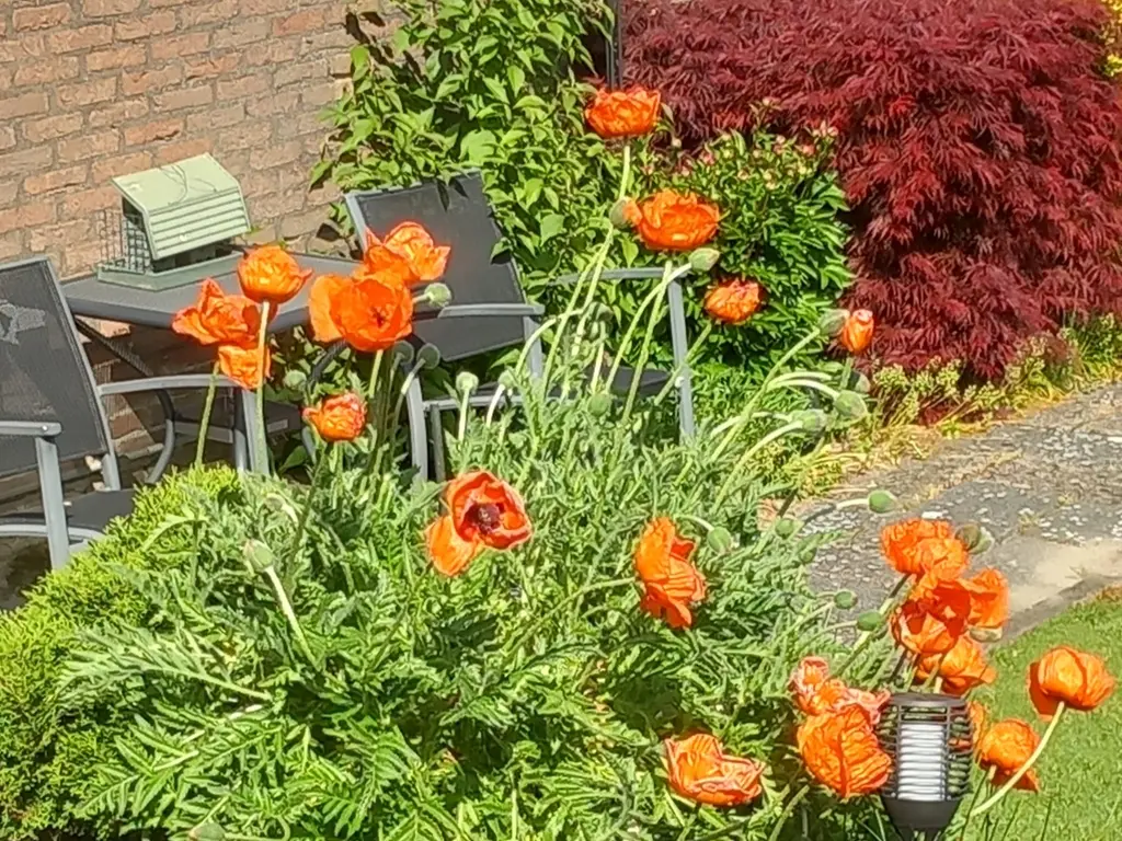 Barnsteenstraat 31, ALPHEN AAN DEN RIJN