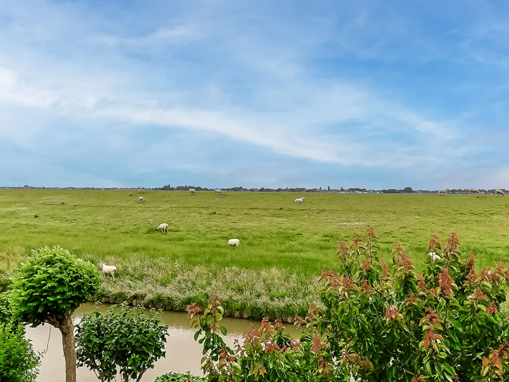Suyderbon 46, RIJNSATERWOUDE