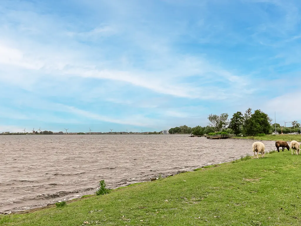 Suyderbon 46, RIJNSATERWOUDE