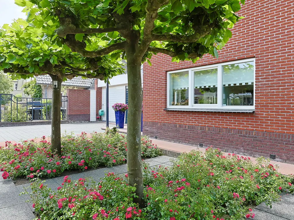 Aambeeld 13, NIEUWKOOP