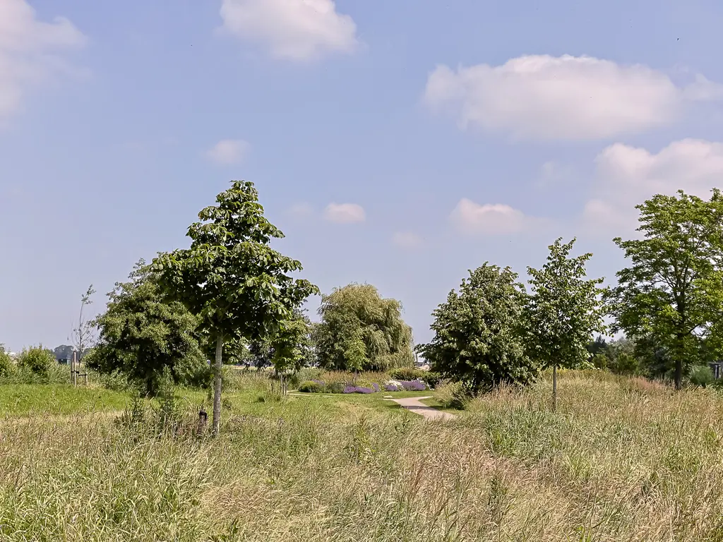 Aambeeld 13, NIEUWKOOP