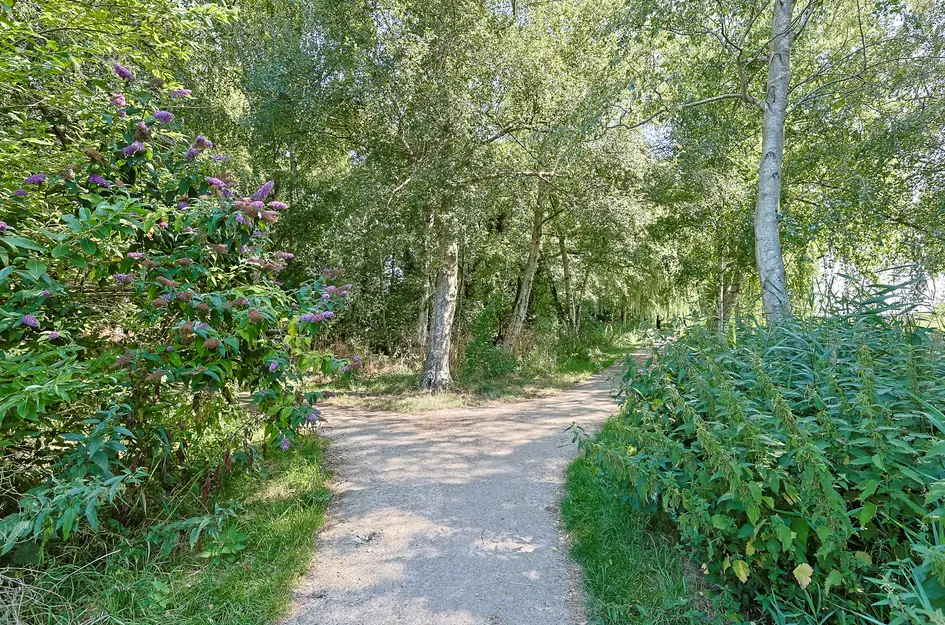 Marijkelaan 31