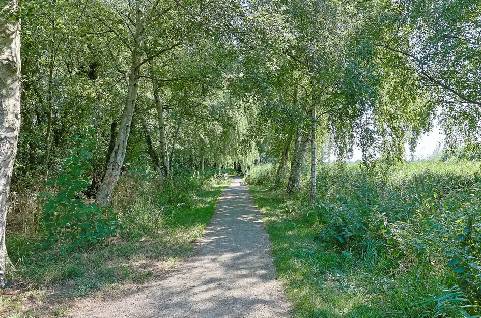Marijkelaan 31