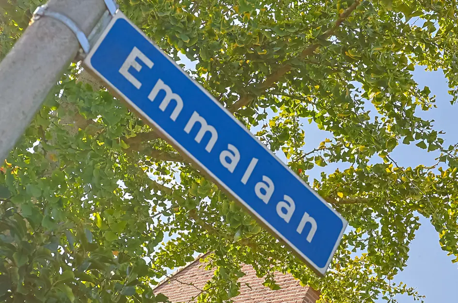Emmalaan 17