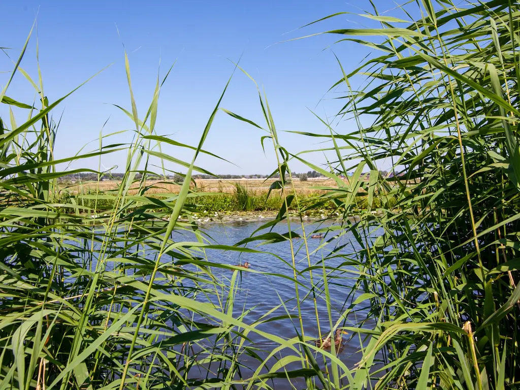 Oosteinde 3h 33, MOORDRECHT