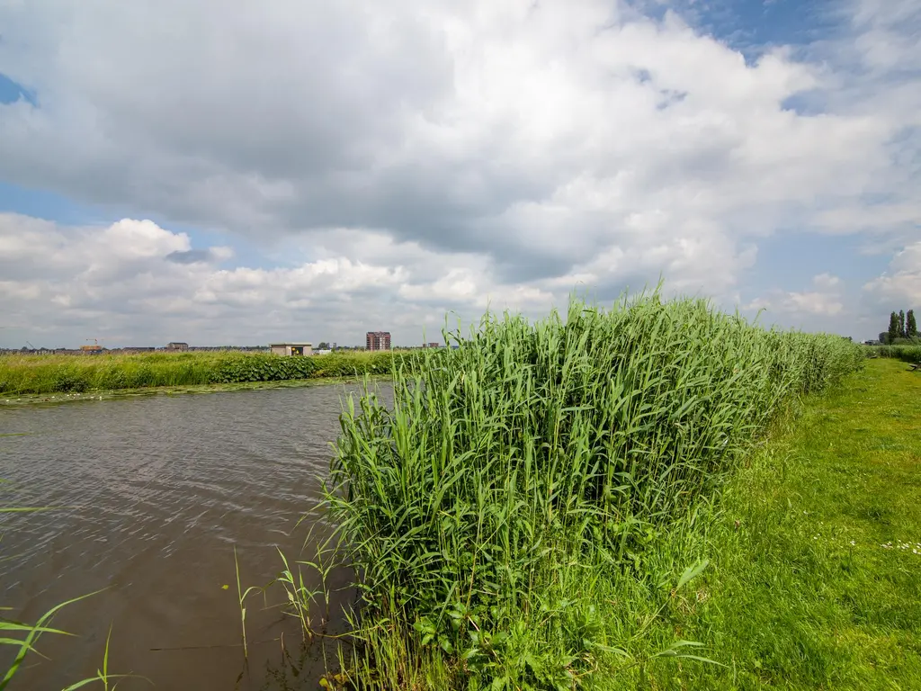 Oosteinde 3h 33, MOORDRECHT