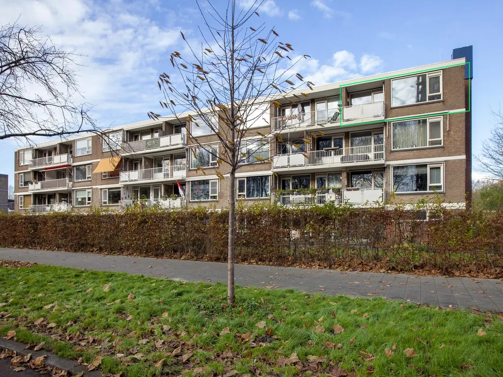 Vredeman de Vriesstraat 18, ROTTERDAM