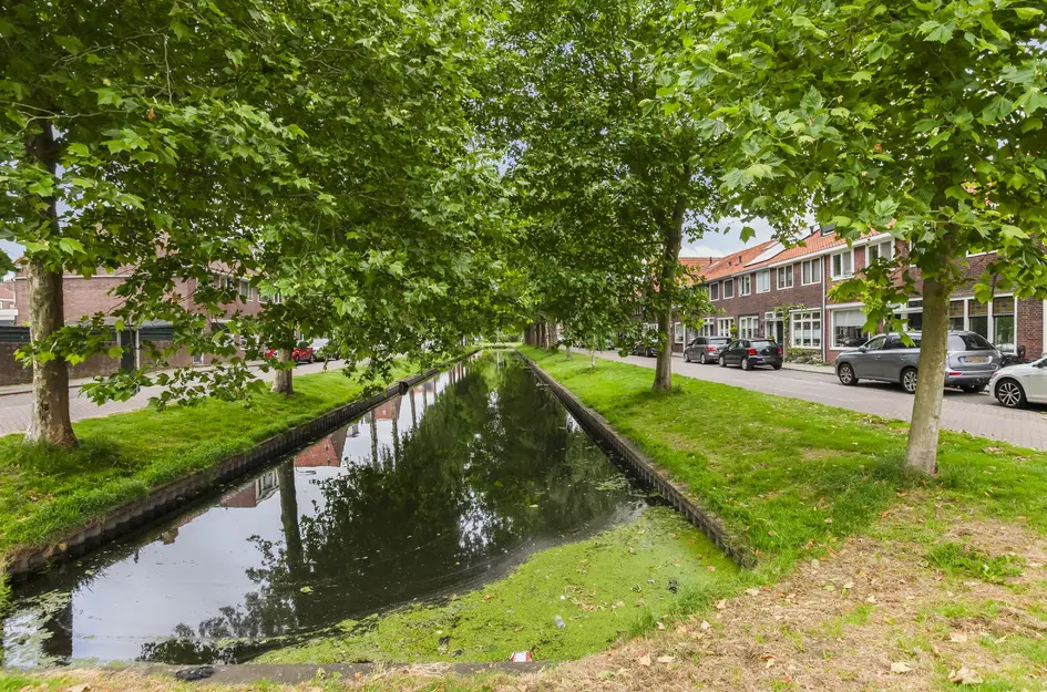 van der Palmstraat 20