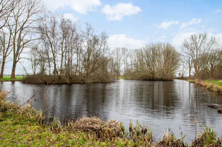 Beethovenhof 18