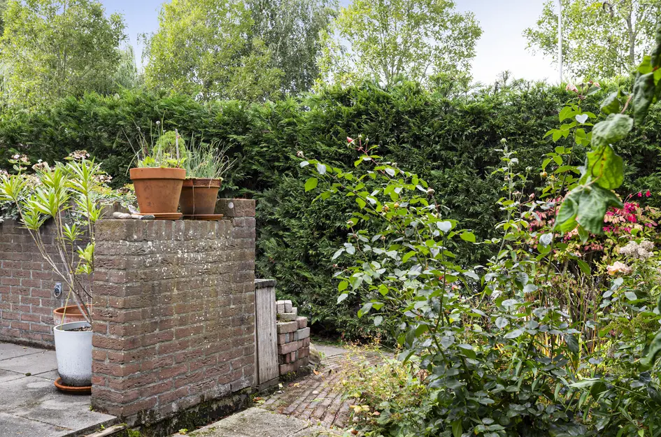 Livingstonelaan 14