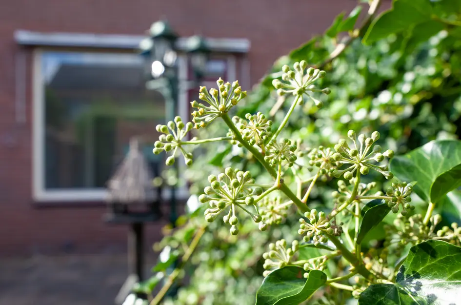 Olivier van Noortlaan 12