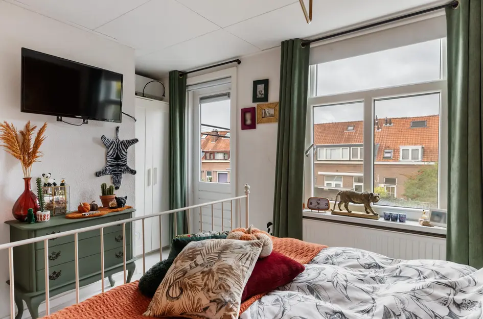 van Middelantstraat 11